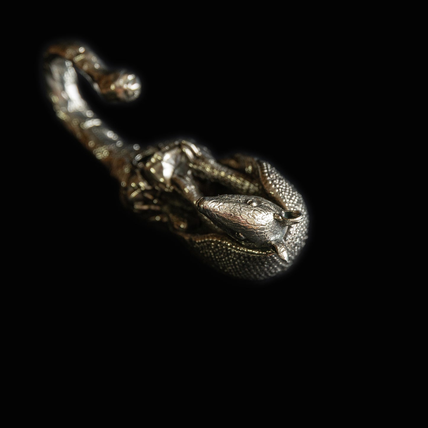 Handmade Wall Hook "Armadillo"