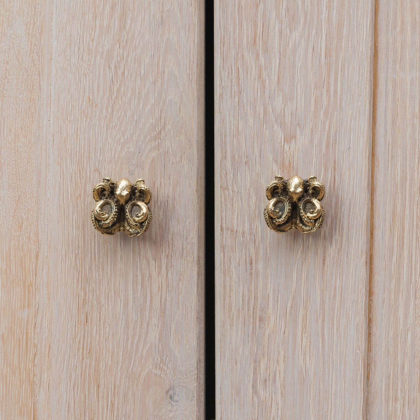 Furniture Handle "Octopus"