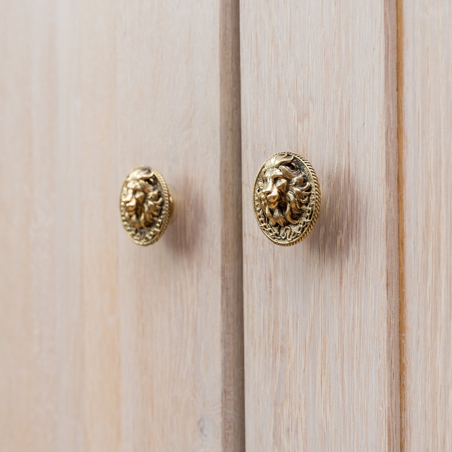 Furniture Handle "Leo Zodiac Sign"