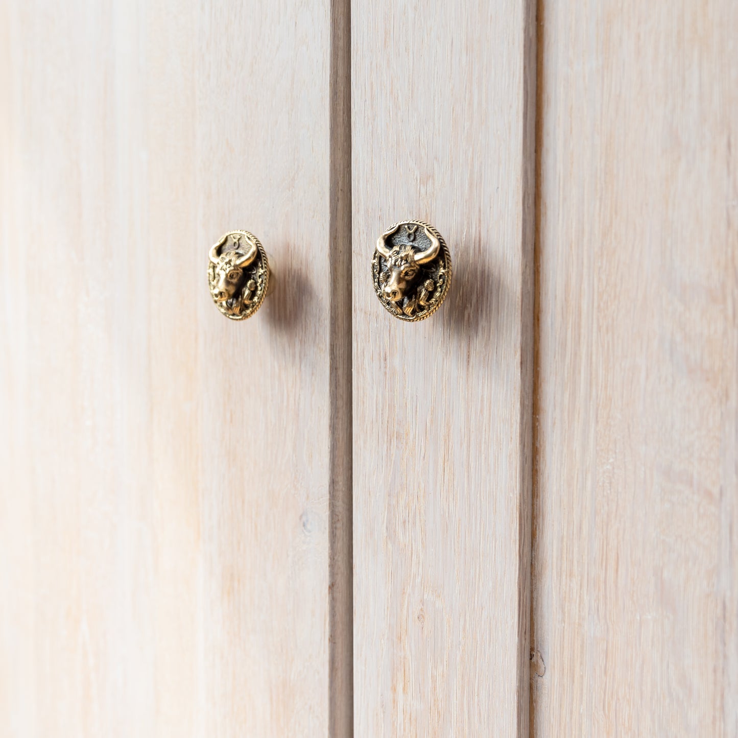 Furniture Handle "Taurus"
