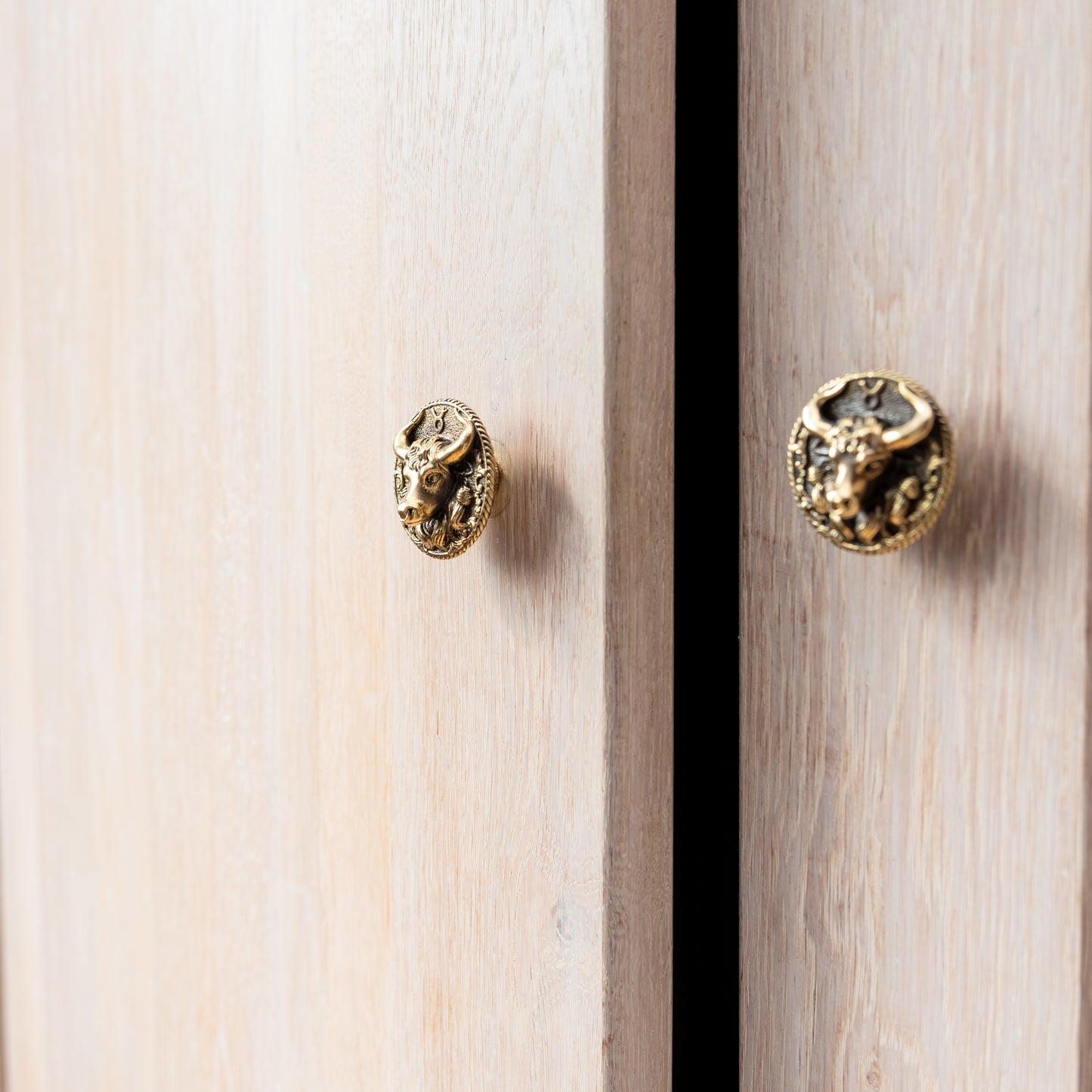 Furniture Handle "Taurus"