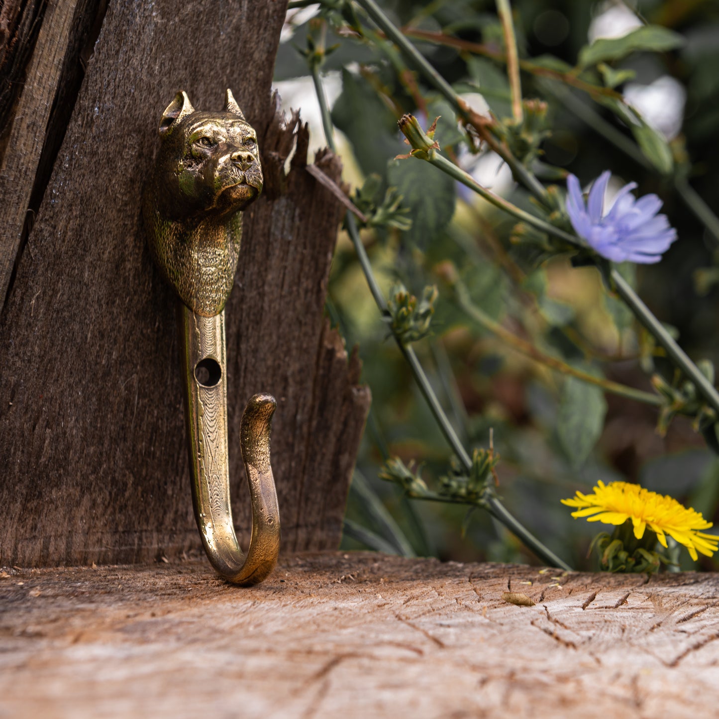 Handmade Wall Hook "American Staffordshire Terrier"