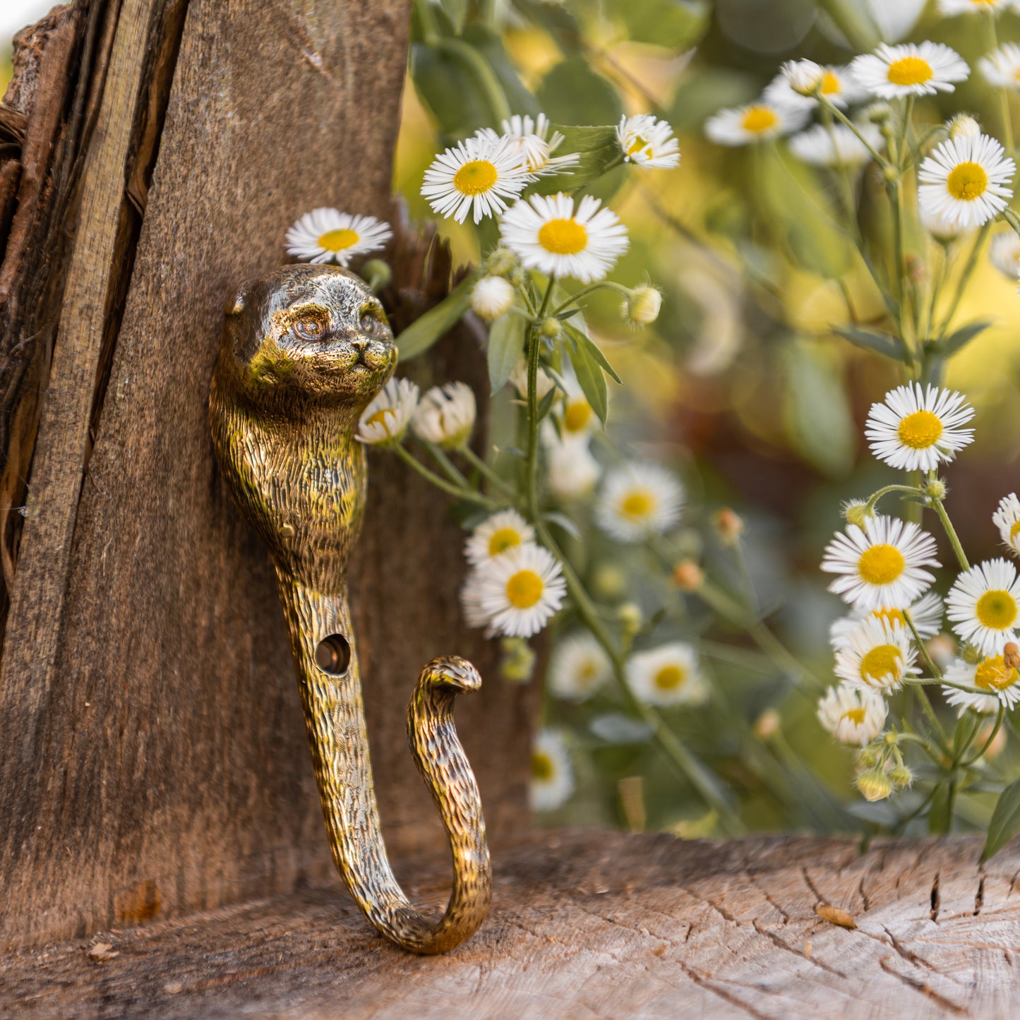 Handmade Wall Hook "Scottish Fold Cat"